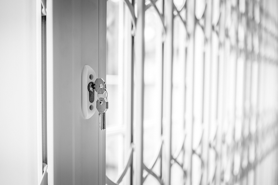 Collapsible gates - Security Gates & Grilles